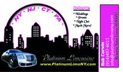 Platinum Limousine